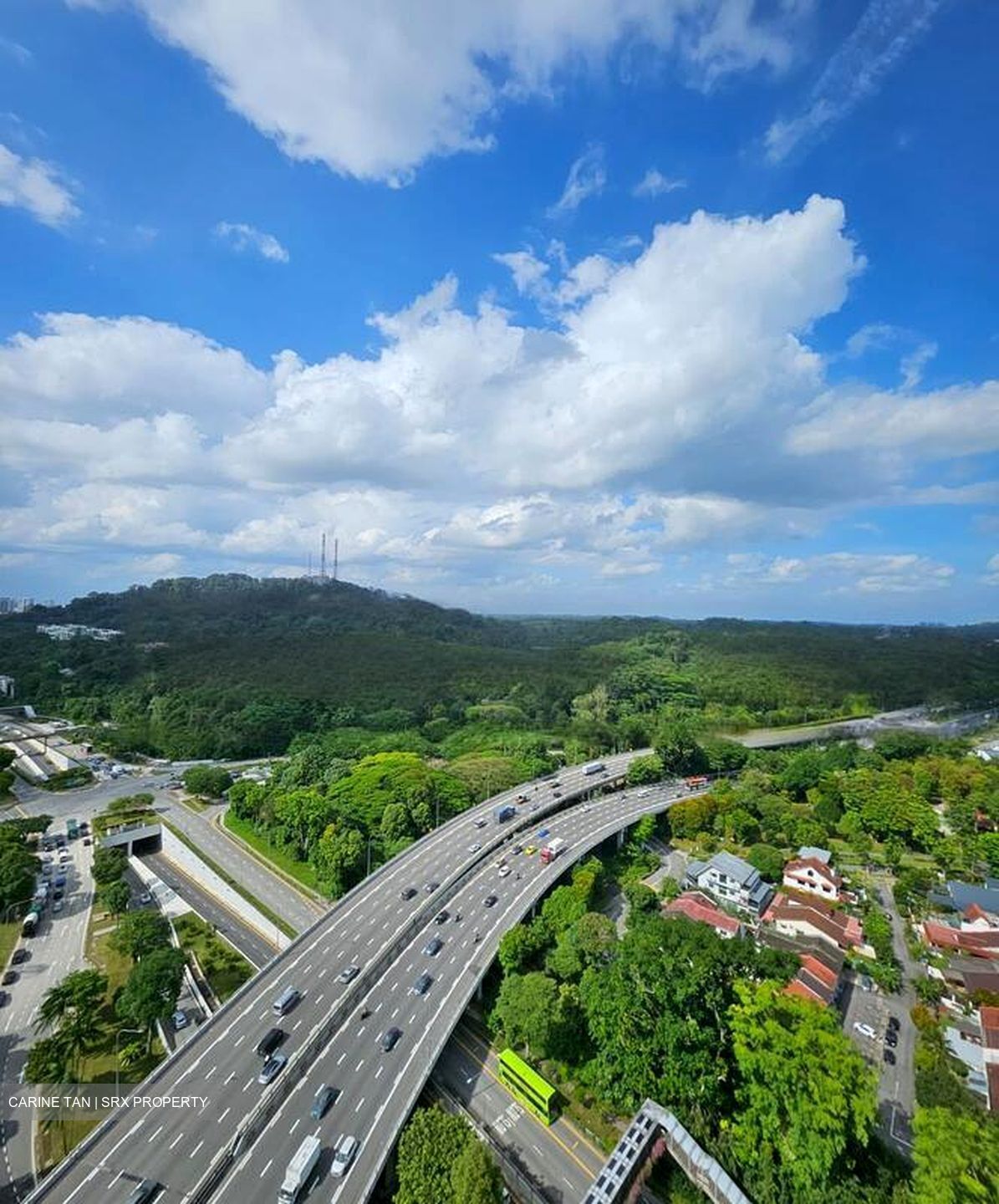 Bukit Timah Plaza / Sherwood Towers (D21), Apartment #469773941